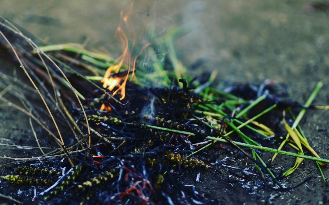 From the Ashes of Repentance, New Life!
